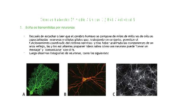 Ciencias Naturales 2 medio-Unidad 1-OA1-Actividad 5 Ciencias Naturales 2 medio-Unidad 1-OA1-Actividad 5