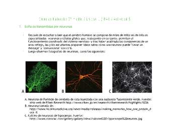 Ciencias Naturales 2 medio-Unidad 1-OA1-Actividad 5 Ciencias Naturales 2 medio-Unidad 1-OA1-Actividad 5