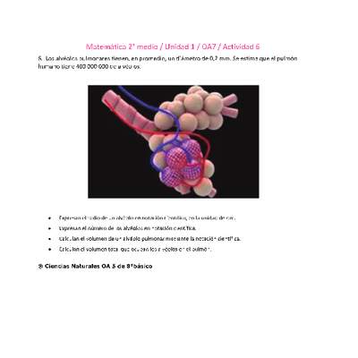 Matemática 2 medio-Unidad 1-OA7-Actividad 6 Matemática 2 medio-Unidad 1-OA7-Actividad 6