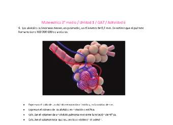 Matemática 2 medio-Unidad 1-OA7-Actividad 6 Matemática 2 medio-Unidad 1-OA7-Actividad 6