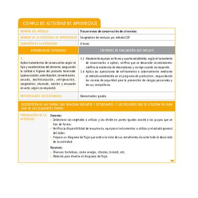 Congelación de verduras por método IQF Congelación de verduras por método IQF