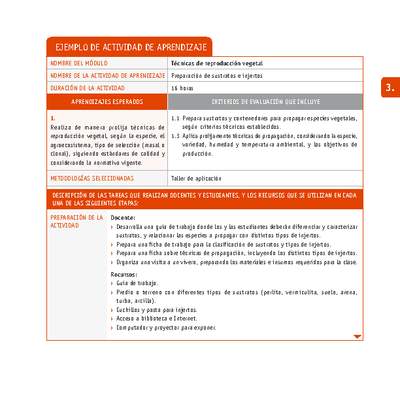 Preparación de sustratos e injertos Preparación de sustratos e injertos