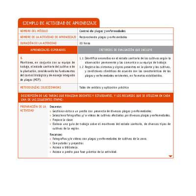 Reconociendo plagas y enfermedades Reconociendo plagas y enfermedades