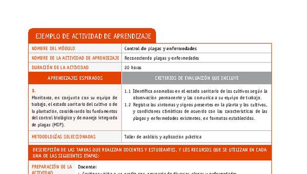 Reconociendo plagas y enfermedades Reconociendo plagas y enfermedades