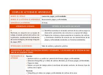 Reconociendo plagas y enfermedades Reconociendo plagas y enfermedades