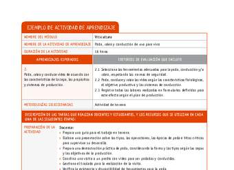 Poda, raleo y conducción de uva para vino Poda, raleo y conducción de uva para vino