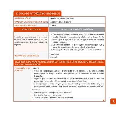 Cosecha y transporte de uva Cosecha y transporte de uva