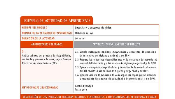 Molienda de uva Molienda de uva