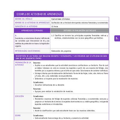 Confección de un herbario de especies arbóreas forestales y ornamentales Confección de un herbario de especies arbóreas forestales y ornamentales