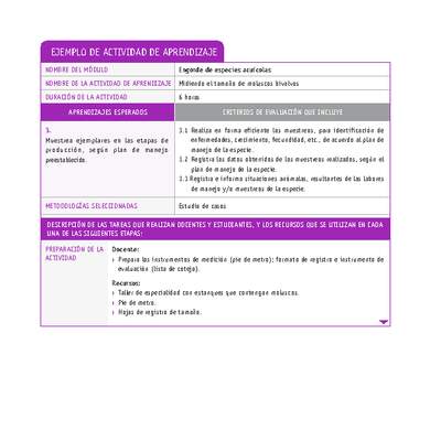 Midiendo el tamaño de moluscos bivalvos Midiendo el tamaño de moluscos bivalvos
