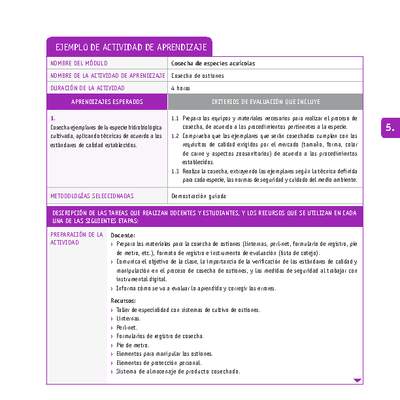 Cosecha de ostiones Cosecha de ostiones