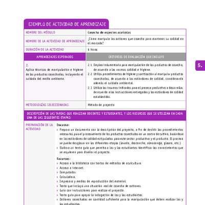 ¿Cómo manipulo los ostiones que cosecho para mantener su calidad en el mercado? ¿Cómo manipulo los ostiones que cosecho para mantener su calidad en el mercado?