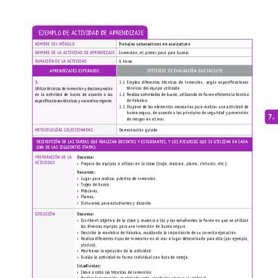 Inmersión, el primer paso para bucear Inmersión, el primer paso para bucear