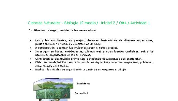 Ciencias Naturales 1 medio-Unidad 2-OA4-Actividad 1 Ciencias Naturales 1 medio-Unidad 2-OA4-Actividad 1