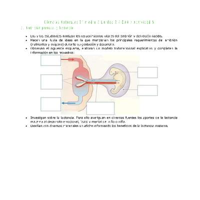 Ciencias Naturales 2 medio-Unidad 2-OA4-Actividad 5 Ciencias Naturales 2 medio-Unidad 2-OA4-Actividad 5