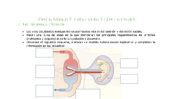 Ciencias Naturales 2 medio-Unidad 2-OA4-Actividad 5 Ciencias Naturales 2 medio-Unidad 2-OA4-Actividad 5