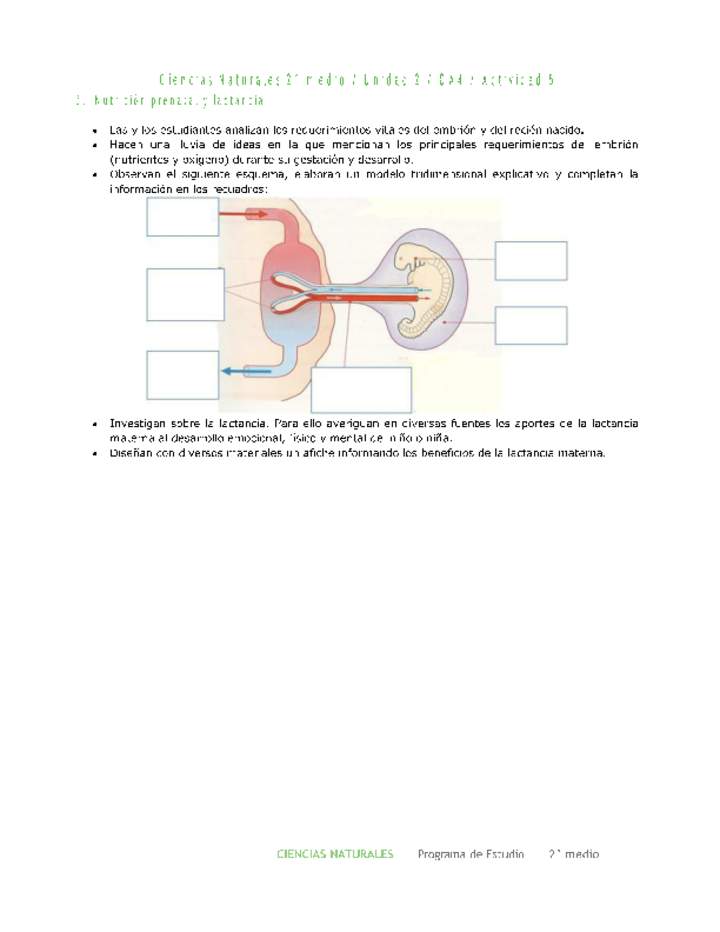 Ciencias Naturales 2 medio-Unidad 2-OA4-Actividad 5 Ciencias Naturales 2 medio-Unidad 2-OA4-Actividad 5