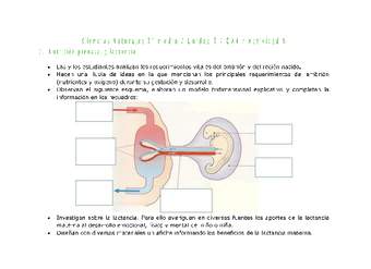 Ciencias Naturales 2 medio-Unidad 2-OA4-Actividad 5 Ciencias Naturales 2 medio-Unidad 2-OA4-Actividad 5
