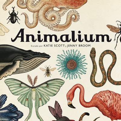 Animalium Animalium