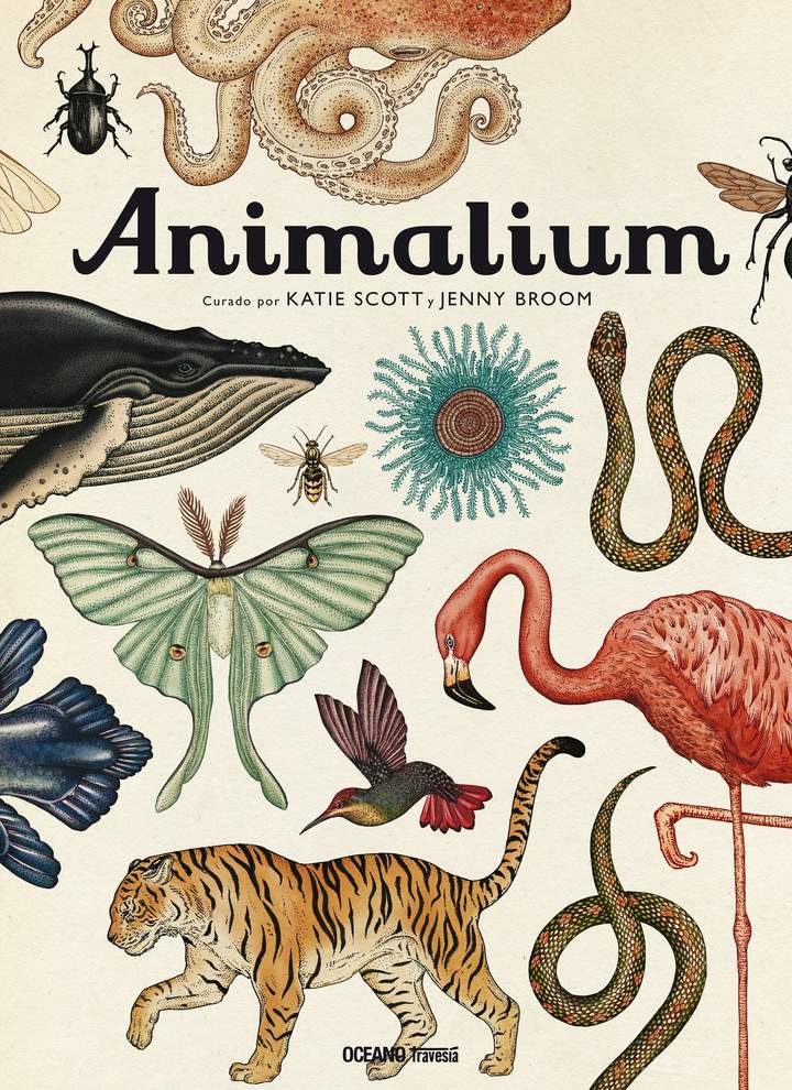 Animalium Animalium