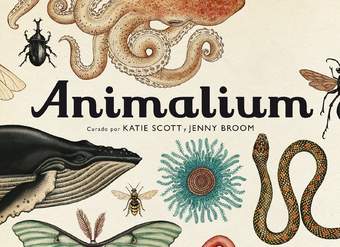 Animalium Animalium