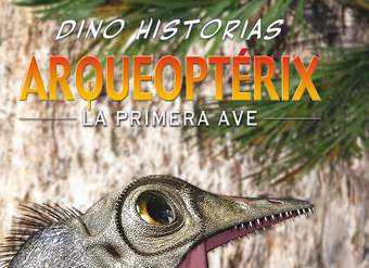 Arqueoptérix. La primera ave Arqueoptérix. La primera ave