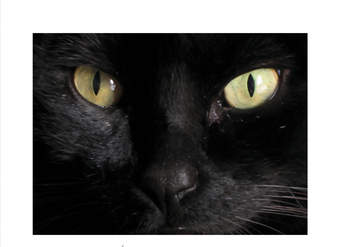 Historias extraordinarias Historias extraordinarias