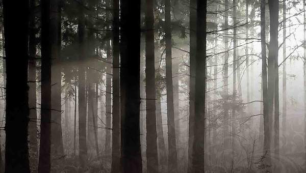 Arkanus. El Señor del Abismo Arkanus. El Señor del Abismo