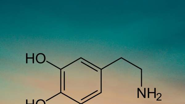 Imagen Unidad 4 Imagen Unidad 4