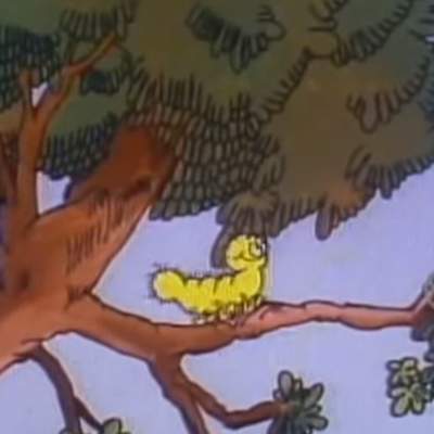 Mazapán, La Cuncuna Amarilla Mazapán, La Cuncuna Amarilla