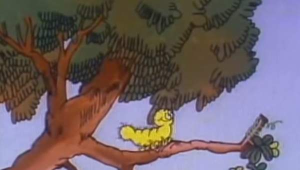 Mazapán, La Cuncuna Amarilla Mazapán, La Cuncuna Amarilla