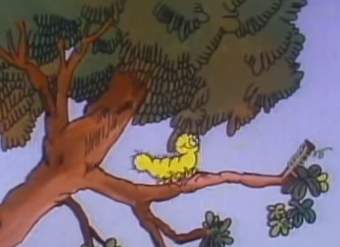 Mazapán, La Cuncuna Amarilla Mazapán, La Cuncuna Amarilla