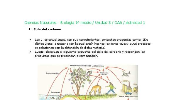 Ciencias Naturales 1 medio-Unidad 3-OA6-Actividad 1 Ciencias Naturales 1 medio-Unidad 3-OA6-Actividad 1