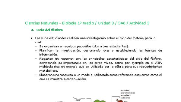 Ciencias Naturales 1 medio-Unidad 3-OA6-Actividad 3 Ciencias Naturales 1 medio-Unidad 3-OA6-Actividad 3