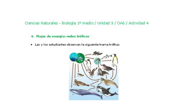 Ciencias Naturales 1 medio-Unidad 3-OA6-Actividad 4 Ciencias Naturales 1 medio-Unidad 3-OA6-Actividad 4