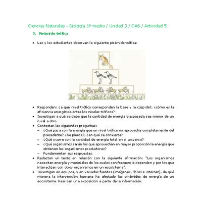Ciencias Naturales 1 medio-Unidad 3-OA6-Actividad 5 Ciencias Naturales 1 medio-Unidad 3-OA6-Actividad 5