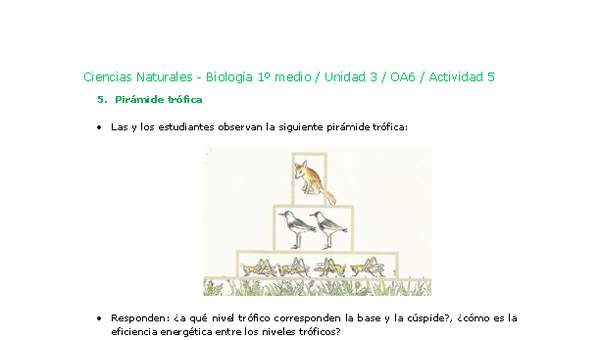 Ciencias Naturales 1 medio-Unidad 3-OA6-Actividad 5 Ciencias Naturales 1 medio-Unidad 3-OA6-Actividad 5