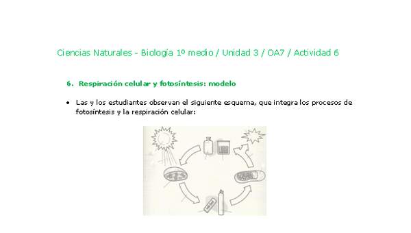 Ciencias Naturales 1 medio-Unidad 3-OA7-Actividad 6 Ciencias Naturales 1 medio-Unidad 3-OA7-Actividad 6