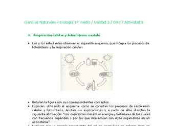 Ciencias Naturales 1 medio-Unidad 3-OA7-Actividad 6 Ciencias Naturales 1 medio-Unidad 3-OA7-Actividad 6