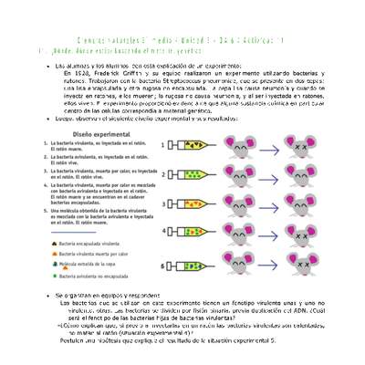 Ciencias Naturales 2 medio-Unidad 3-OA6-Actividad 11 Ciencias Naturales 2 medio-Unidad 3-OA6-Actividad 11