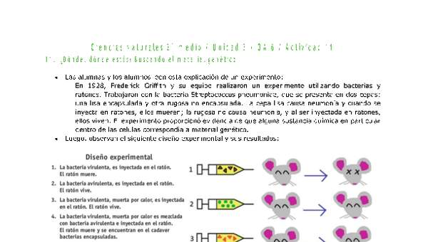 Ciencias Naturales 2 medio-Unidad 3-OA6-Actividad 11 Ciencias Naturales 2 medio-Unidad 3-OA6-Actividad 11