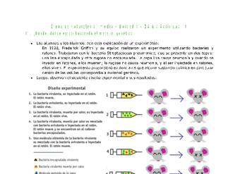 Ciencias Naturales 2 medio-Unidad 3-OA6-Actividad 11 Ciencias Naturales 2 medio-Unidad 3-OA6-Actividad 11