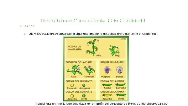 Ciencias Naturales 2 medio-Unidad 3-OA7-Actividad 8 Ciencias Naturales 2 medio-Unidad 3-OA7-Actividad 8