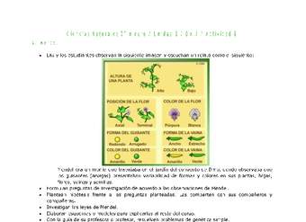 Ciencias Naturales 2 medio-Unidad 3-OA7-Actividad 8 Ciencias Naturales 2 medio-Unidad 3-OA7-Actividad 8