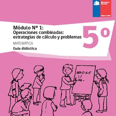 Guía didáctica: Módulo Nº 1. Operaciones combinadas: estrategias de cálculo y problemas Guía didáctica: Módulo Nº 1. Operaciones combinadas: estrategias de cálculo y problemas