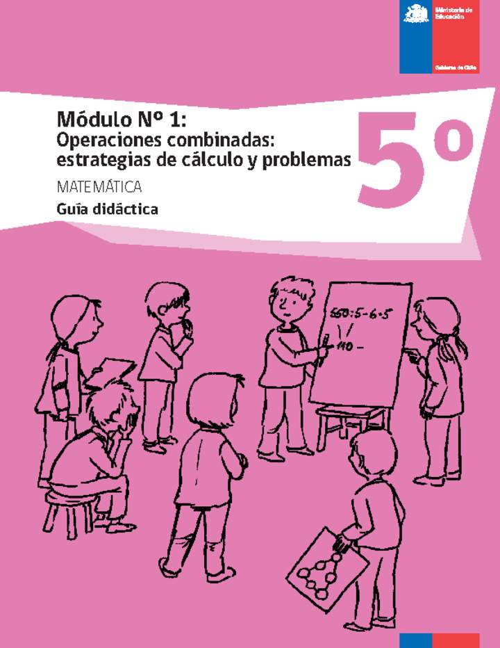 Guía didáctica: Módulo Nº 1. Operaciones combinadas: estrategias de cálculo y problemas Guía didáctica: Módulo Nº 1. Operaciones combinadas: estrategias de cálculo y problemas
