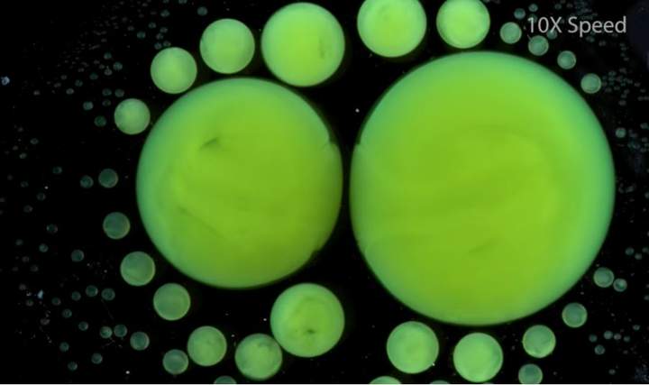 Lección: Señales de las Reacciones Químicas Lección: Señales de las Reacciones Químicas