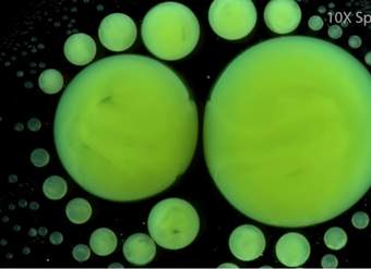 Lección: Señales de las Reacciones Químicas Lección: Señales de las Reacciones Químicas