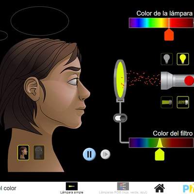 Visión del color Visión del color