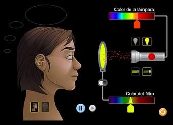 Visión del color Visión del color